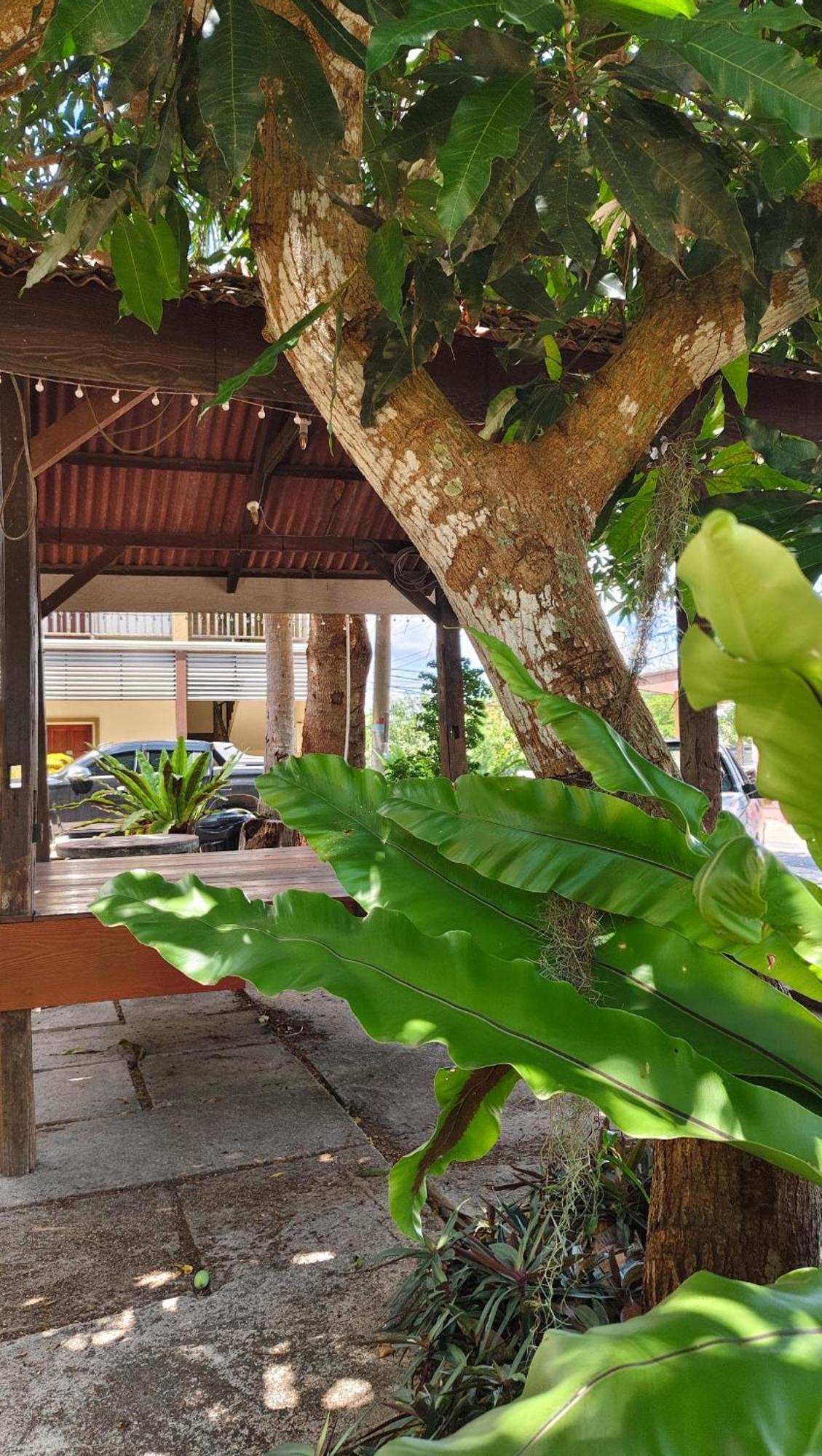 Casa Idaman Motel Pantai Cenang  Kültér fotó